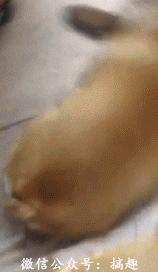 3月5日每天3分钟尽览天下事（习*平近**给文艺界、社科界的七句箴言）