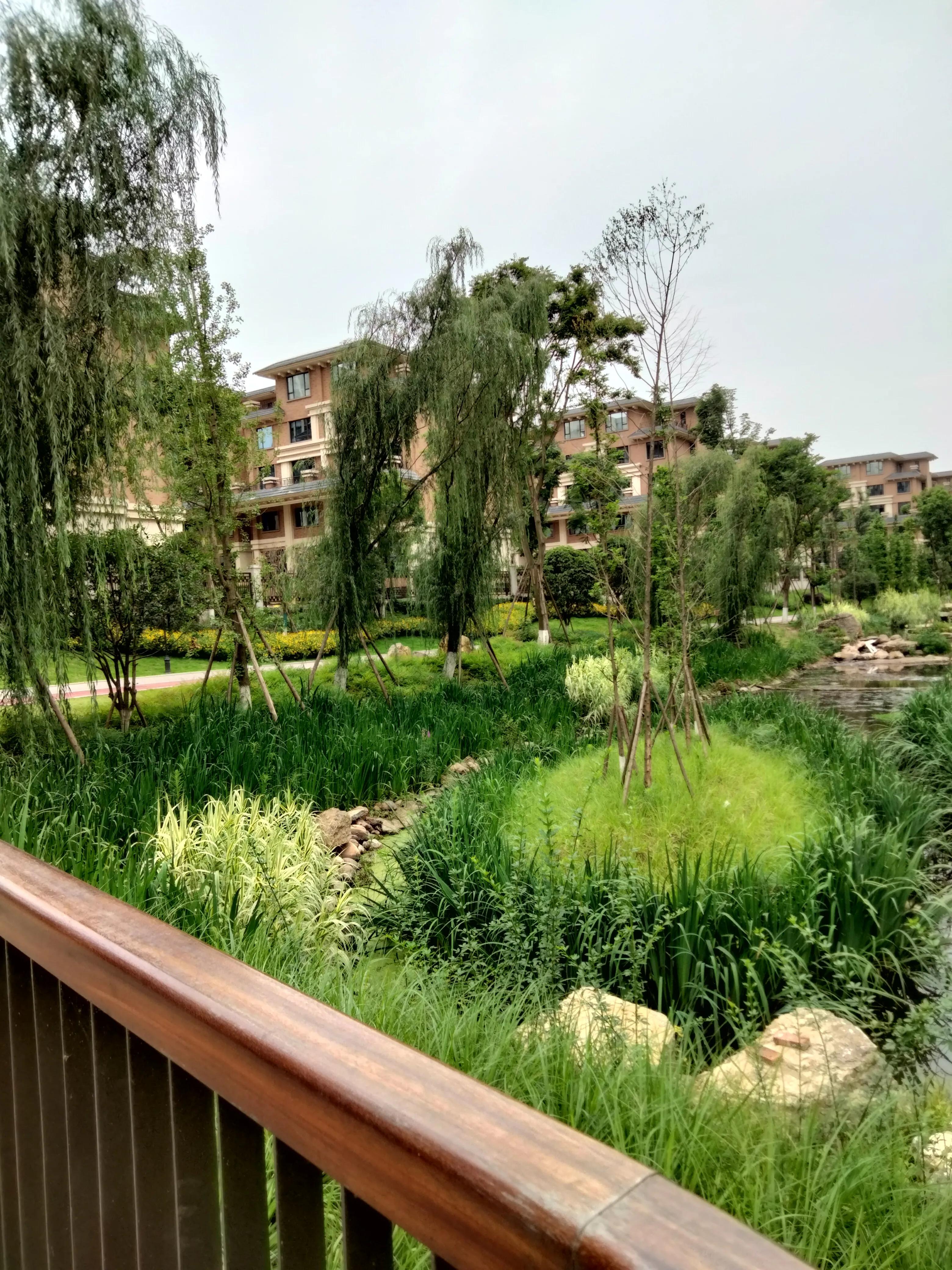 鹭湖宫——居民锻炼又一个好场地