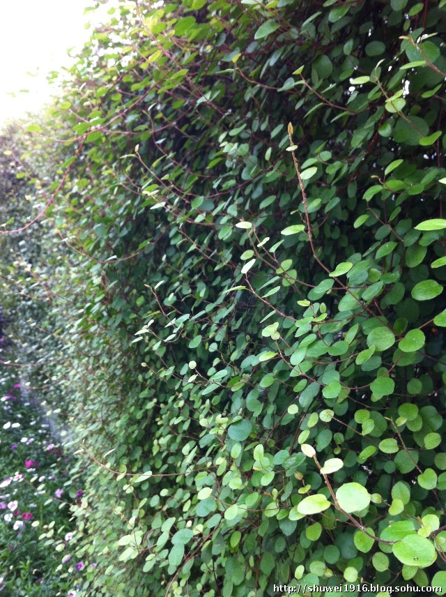 楼观台道教圣地,陕西第一福地楼观台