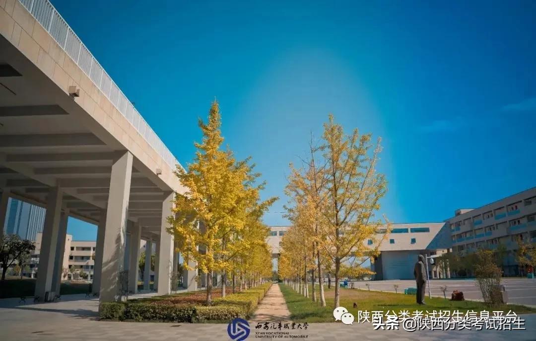 汽车领域黄埔|西安汽车职业大学