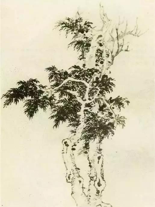 缠枝、挺杆、屈节、钮裂、一棵树如何画？看了这篇你绝对能学会