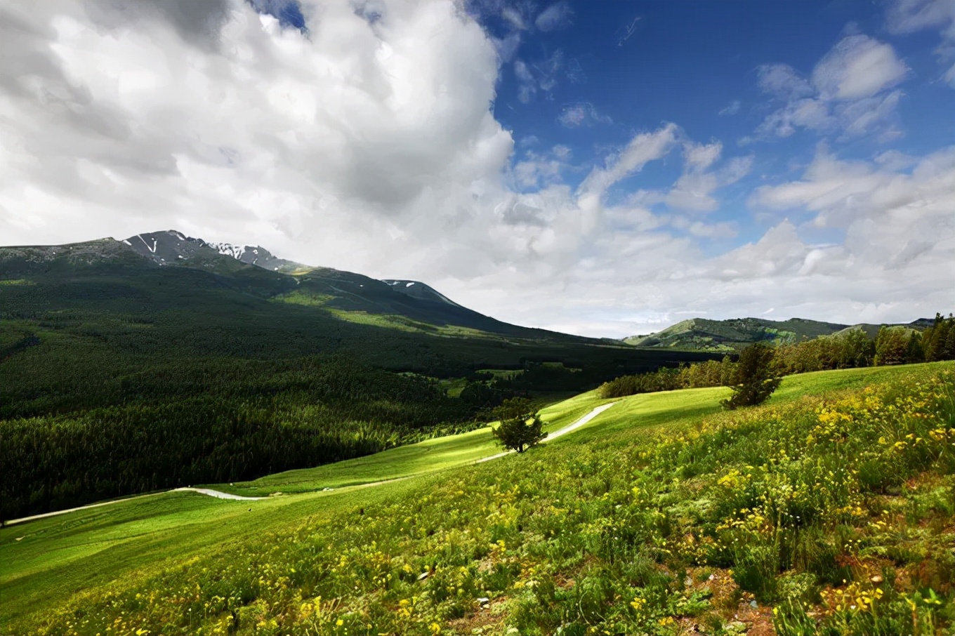 北疆四季,北疆的四季美景