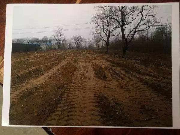 郑州铁路将有四个“主客站”；妈妈带3个孩子洗澡昏迷，2个娃死亡