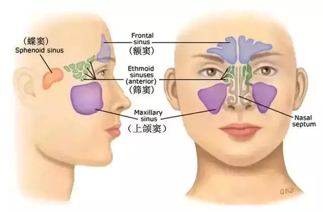 鼻炎和鼻窦炎有什么区别？一代宗师素朴中医院告诉你