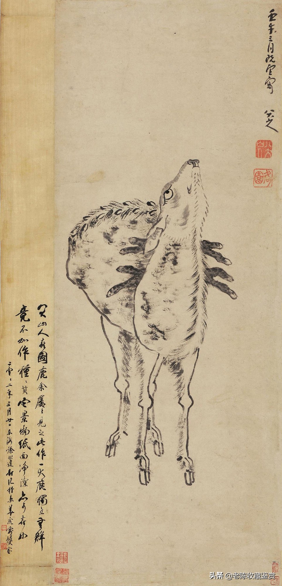 八大山人鹿图,八大山人松鹿图赏析