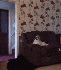 珍藏很久的40张趣图看完都笑疯了,逗趣图片