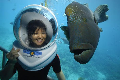一分钟带你了解海洋深处,一分钟带你了解氢水