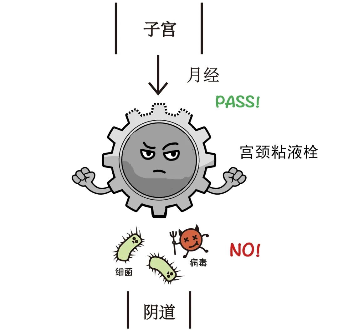 坚持三个方法远离妇科病,有没有可以抗所有妇科病的东西