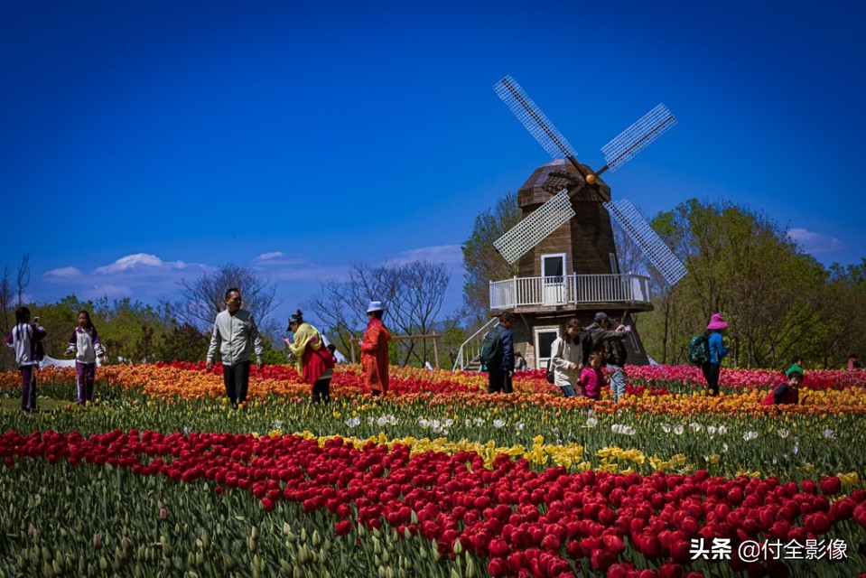 北京国际鲜花港门票优惠,北京国际鲜花港夏天