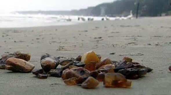 海滩捡蜜蜡,海边捡蜜蜡的利润