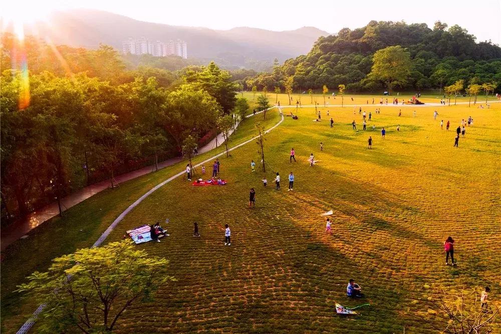郑州春节周边景区免费景点大全,春节赏花的好去处