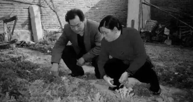 10年前姑娘捡到了价值10亿的钻石,山东姑娘捡到中国最大的钻石