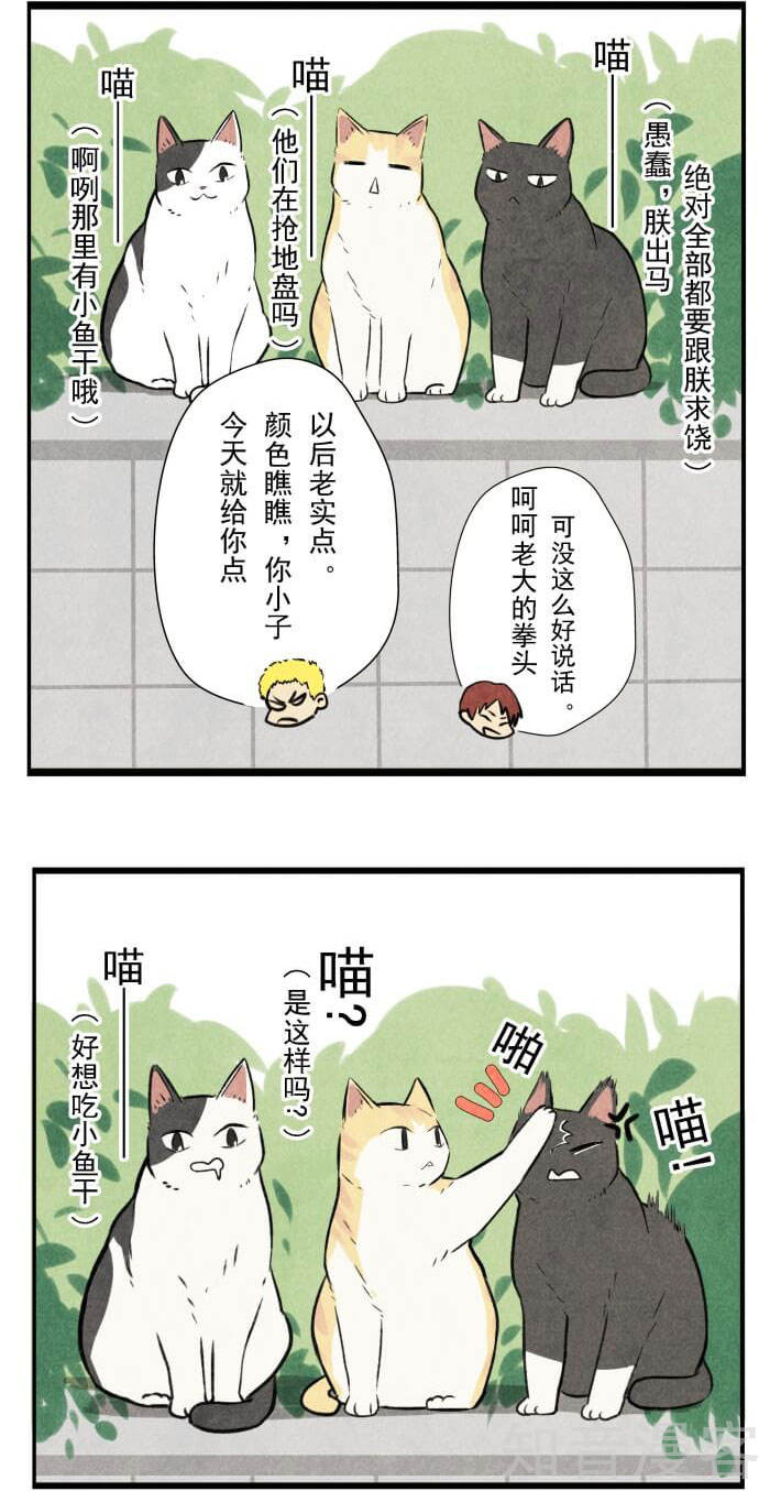 猫和铲屎官的日常生活漫画,猫和铲屎官的日常漫画