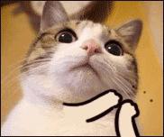 笑疯!这两天,朋友圈代购们纷纷变成灵魂画师!