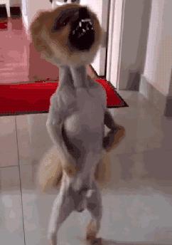 BOSS观点：你们凭什么这么牛13？