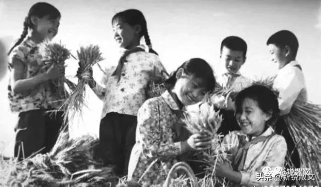 50后回忆生产队,回忆生产队年代