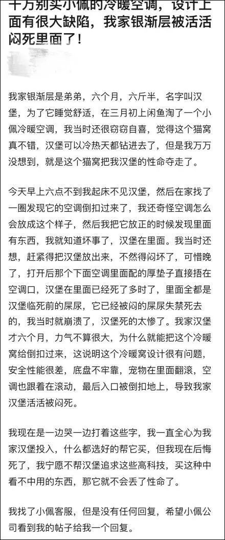小佩闷死猫事件,小佩猫窝闷死猫