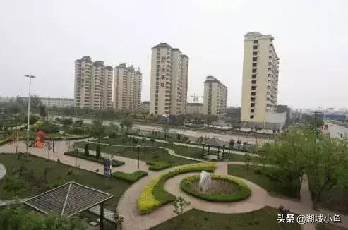 我叫枣强!这是我的最新简历