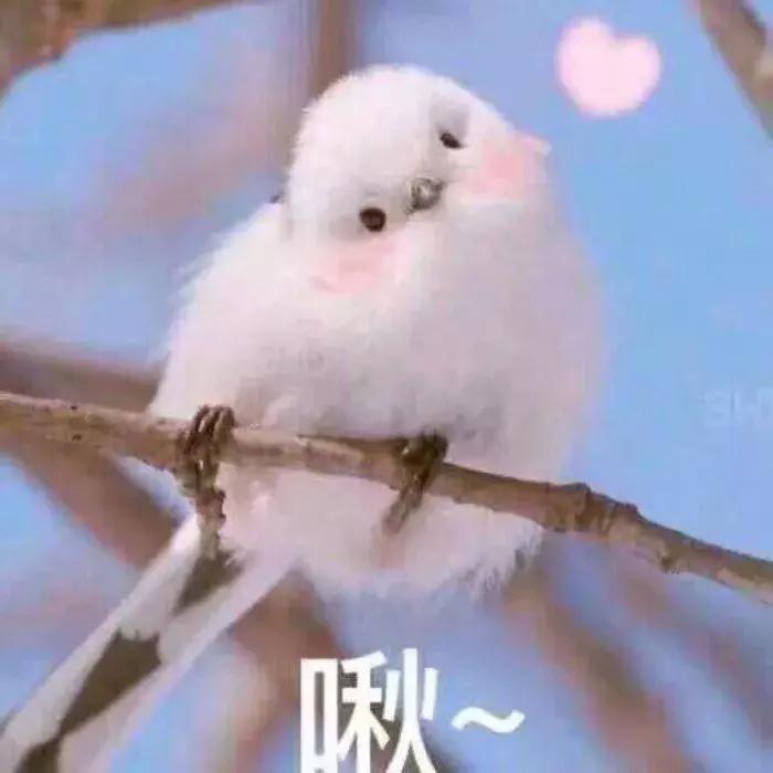 一定不要买的大牌口红,平价口红和大牌口红差别在哪里