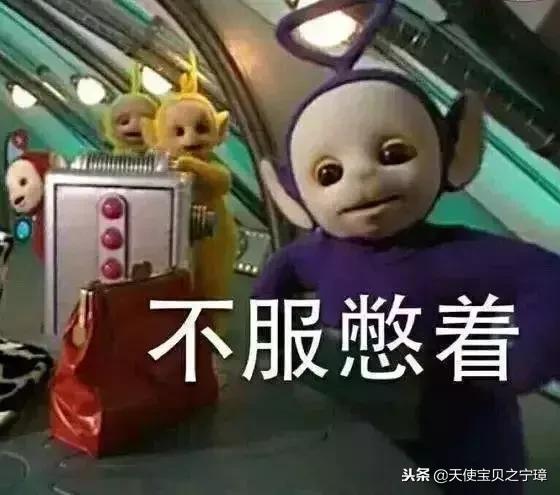 学英语先从骂人开始,学英语从骂人开始