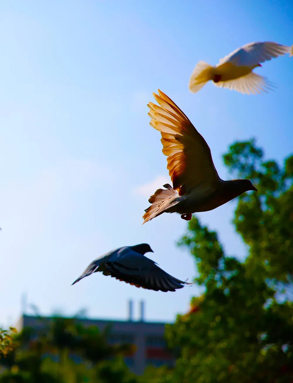 学佛之人怎么处理与别人争吵,情感心理问题解决方法