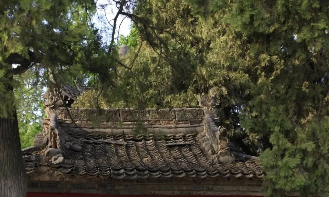 中国县城现状原文,中国县城现状深入调查