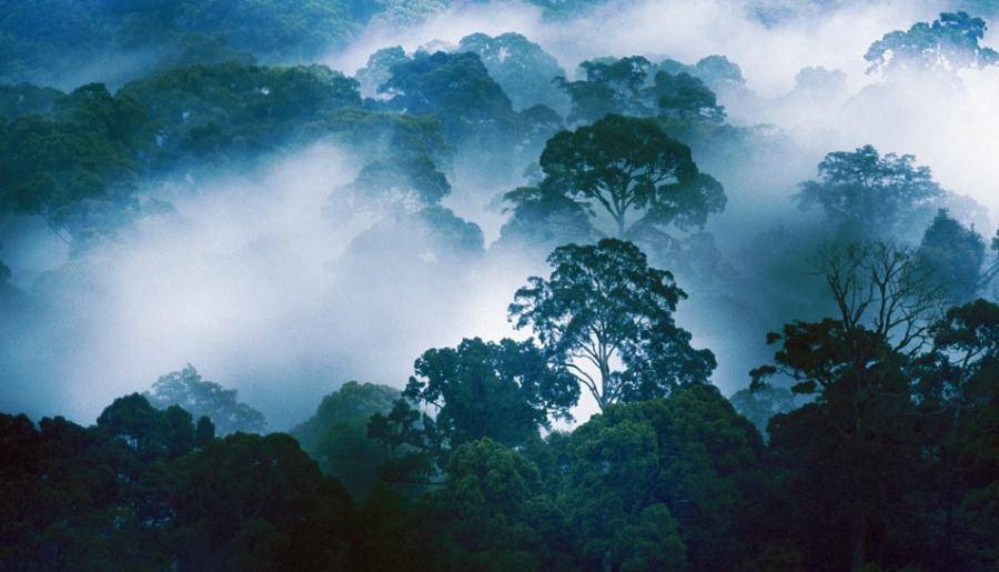 香榧古道,香榧古道徒步路线哪条景色美