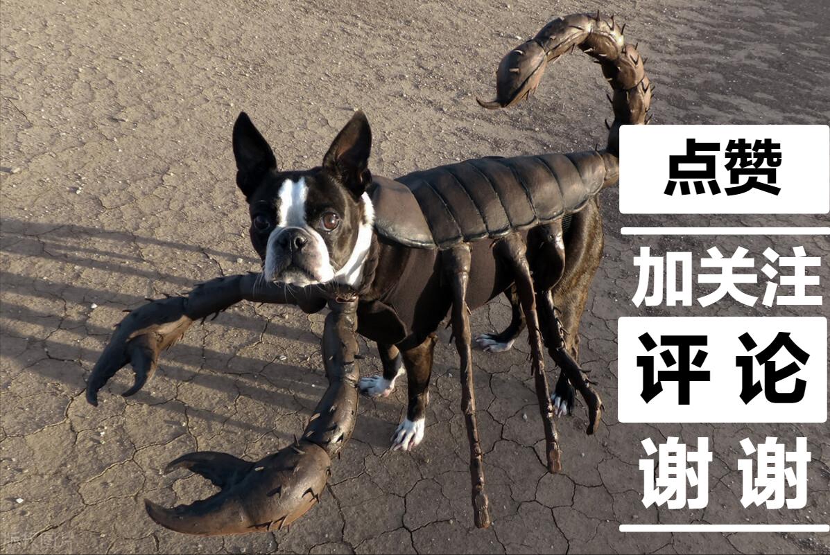 无形的食物梗，你了解他们的内在意思吗？