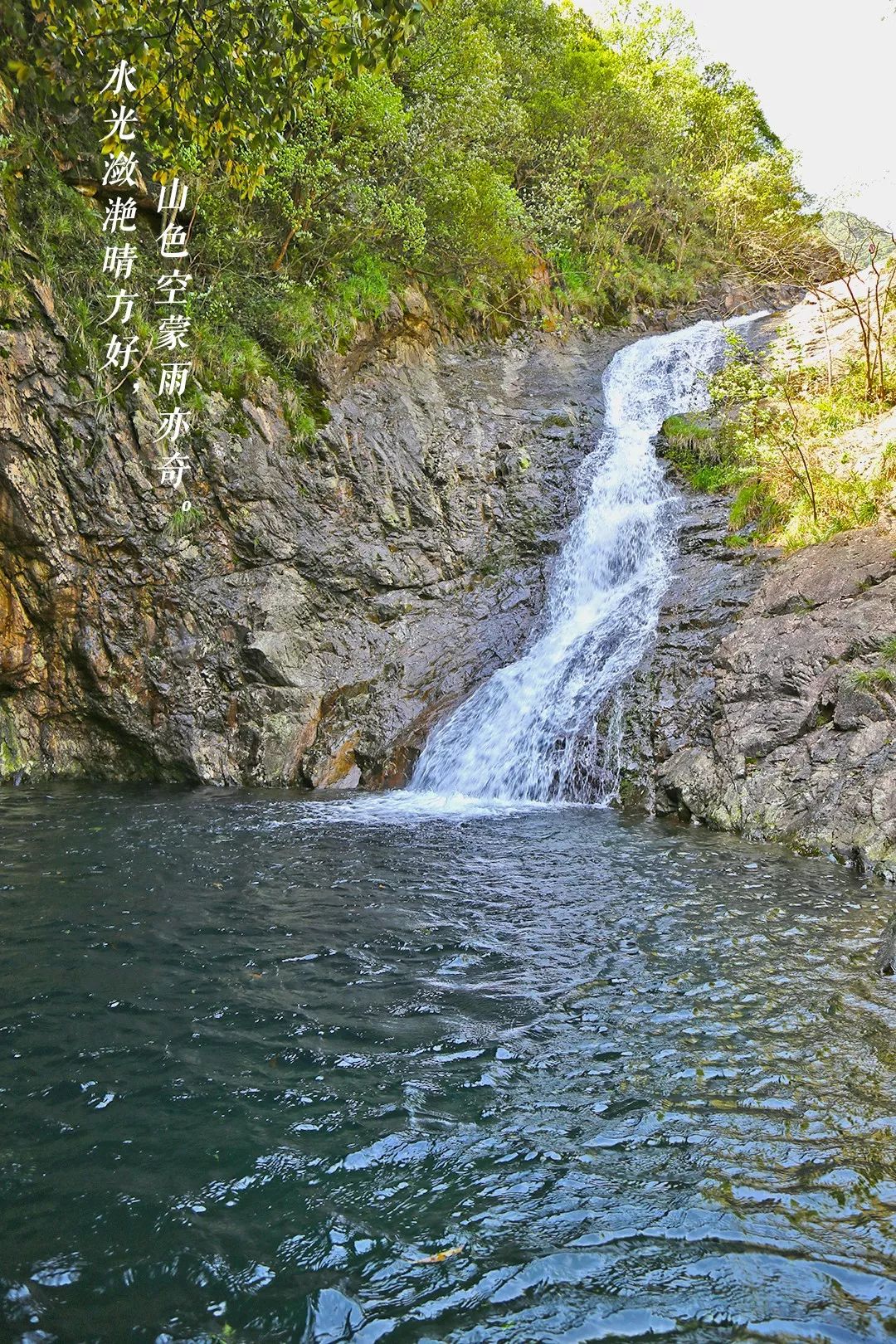 宁波避暑耍水胜地,宁波森林氧吧景区