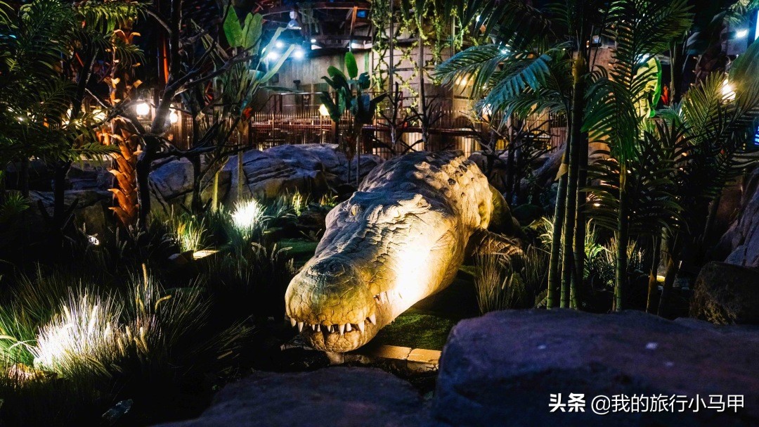 迪拜游玩攻略,去迪拜游玩最省钱的攻略