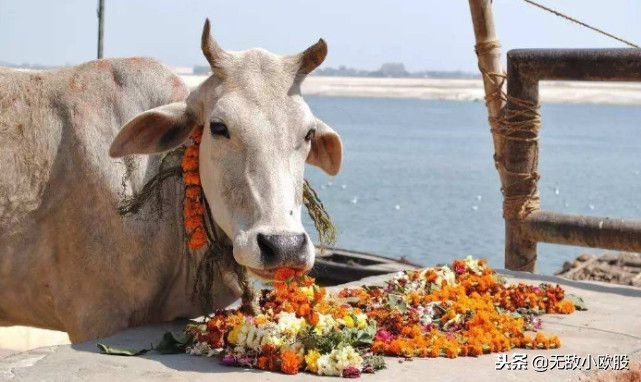 牛魔王为何惊动如来,牛魔王在佛教的地位