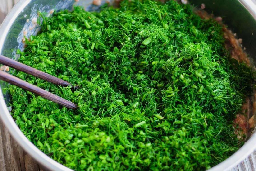 新鲜茴香的功效,如何保存新鲜茴香