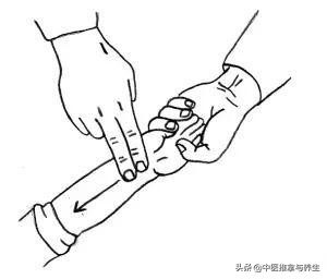 小儿推拿零基础如何入门,小儿推拿怎么正规学习