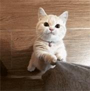 只知道大堡礁？澳大利亚还有这个冷门景点，美得不像地球