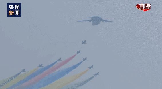 “东风快递”双十一送狗粮空军：不收！生日“我最大”