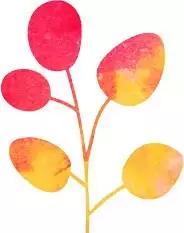 三年级想象作文老鼠乘纸飞机,纸飞机的作文三年级