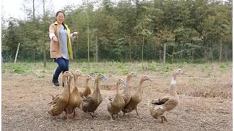 密封的消毒液对孕妇有害吗,臭氧消毒对孕妇有危害吗