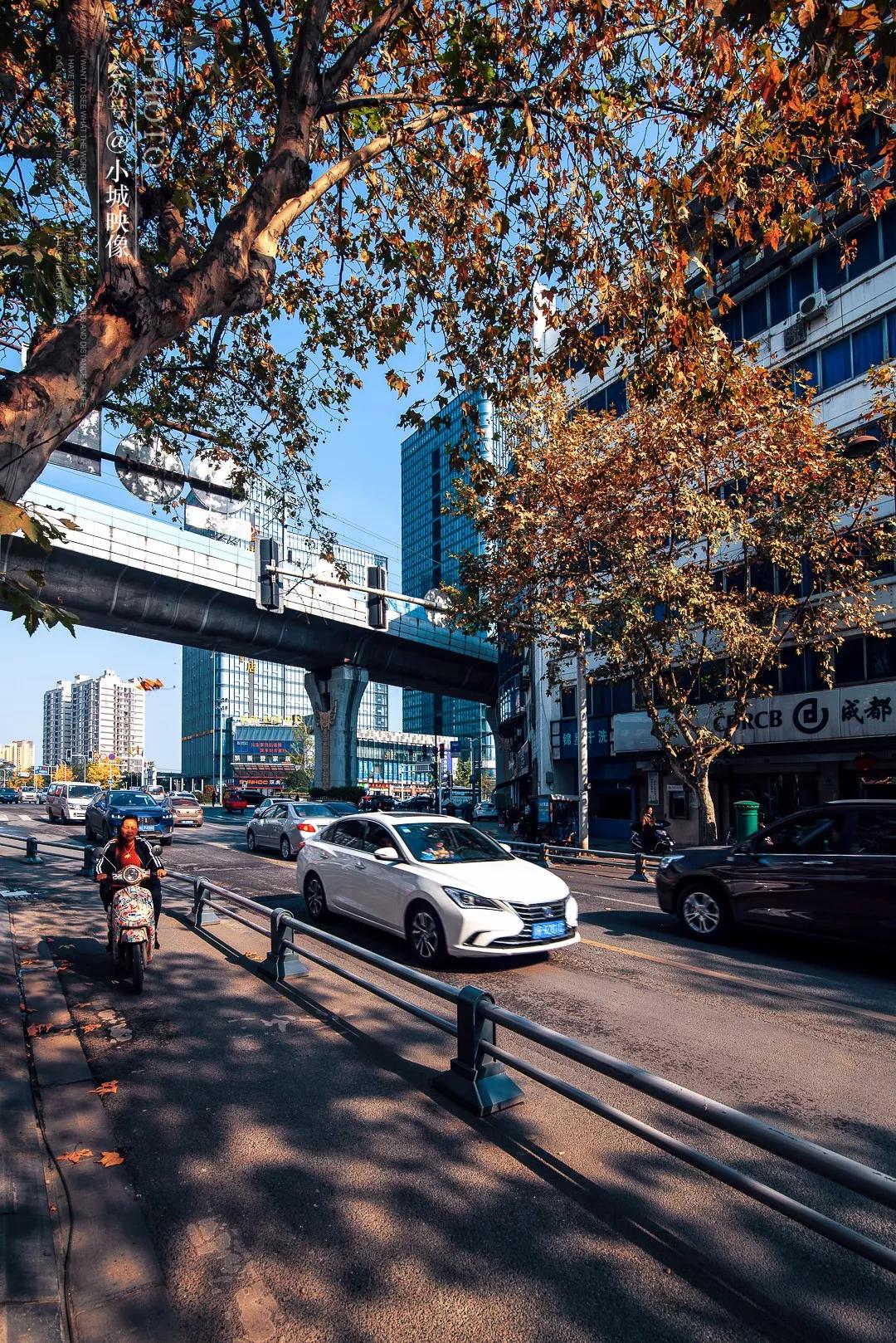 郫县是怎么发展起来的,郫县区为什么这么出名