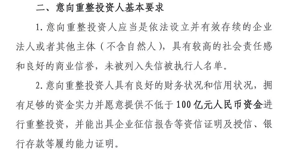 半山半岛破产重整投资人,三亚半山半岛王永红