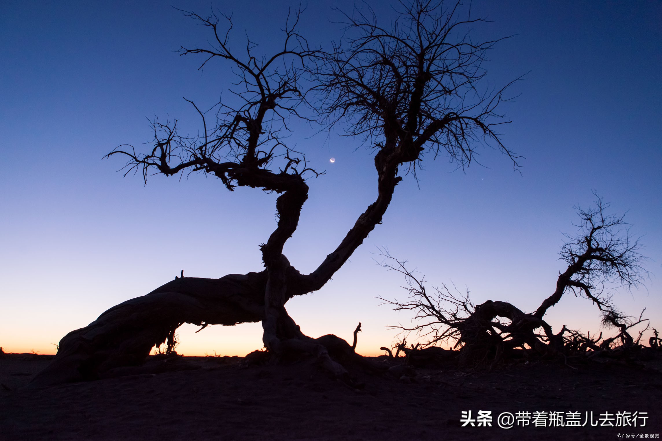 兰州一日游大学生,兰州大学榆中一日游