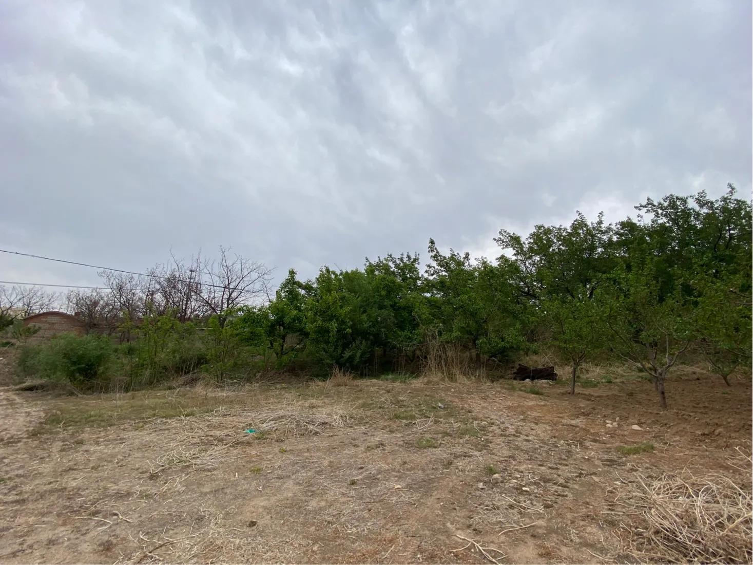 【7/5】29、搬倒井后太爷墓