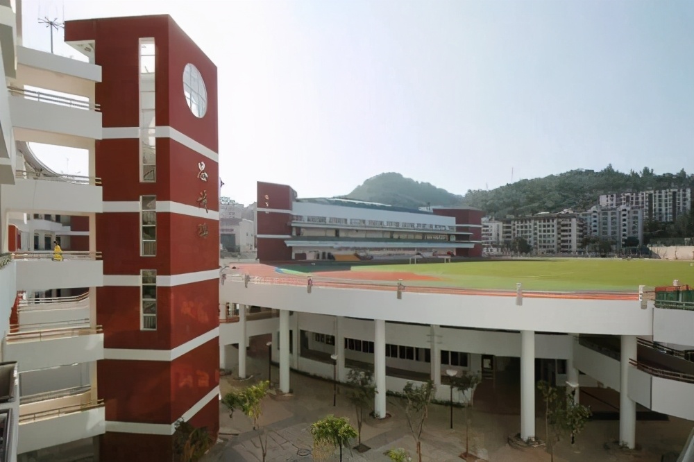 厦门最强5所高中,厦门各中学实力排行榜
