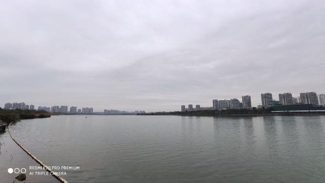 以知名快餐，奶茶店铺，看遂宁市各区县的消费经济发展