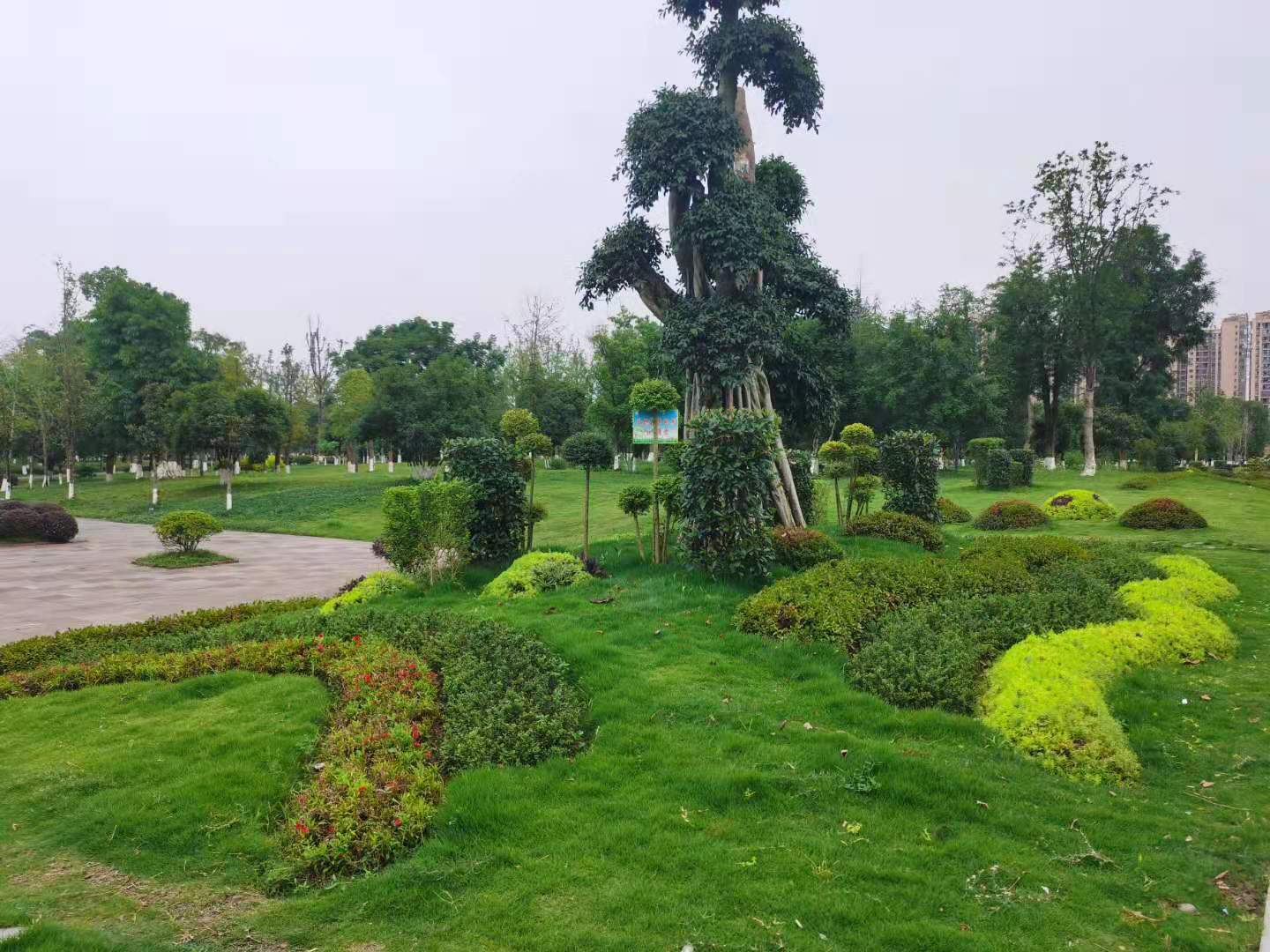 蔡家龙湖天街最新进展情况,蔡家龙湖开发公司