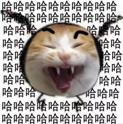 养了九年的猫突然对我有攻击性,养了两年的猫对我特别防备