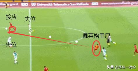 狼崽到狼王的蜕变,深度解析佩莱格里尼