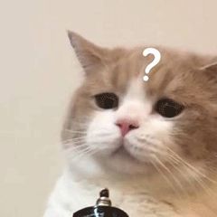 护肤产品成分揭秘,不踩坑护肤的哪些成分不可忽略