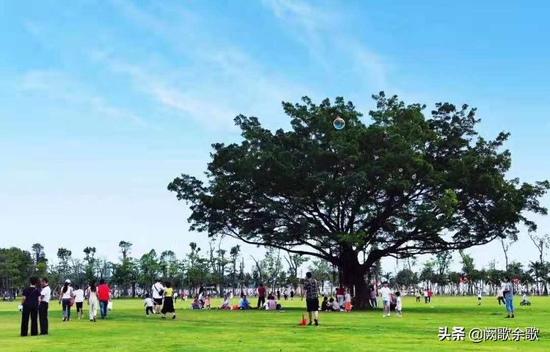 珠海免费公园和旅游景点,珠海十大免费公园