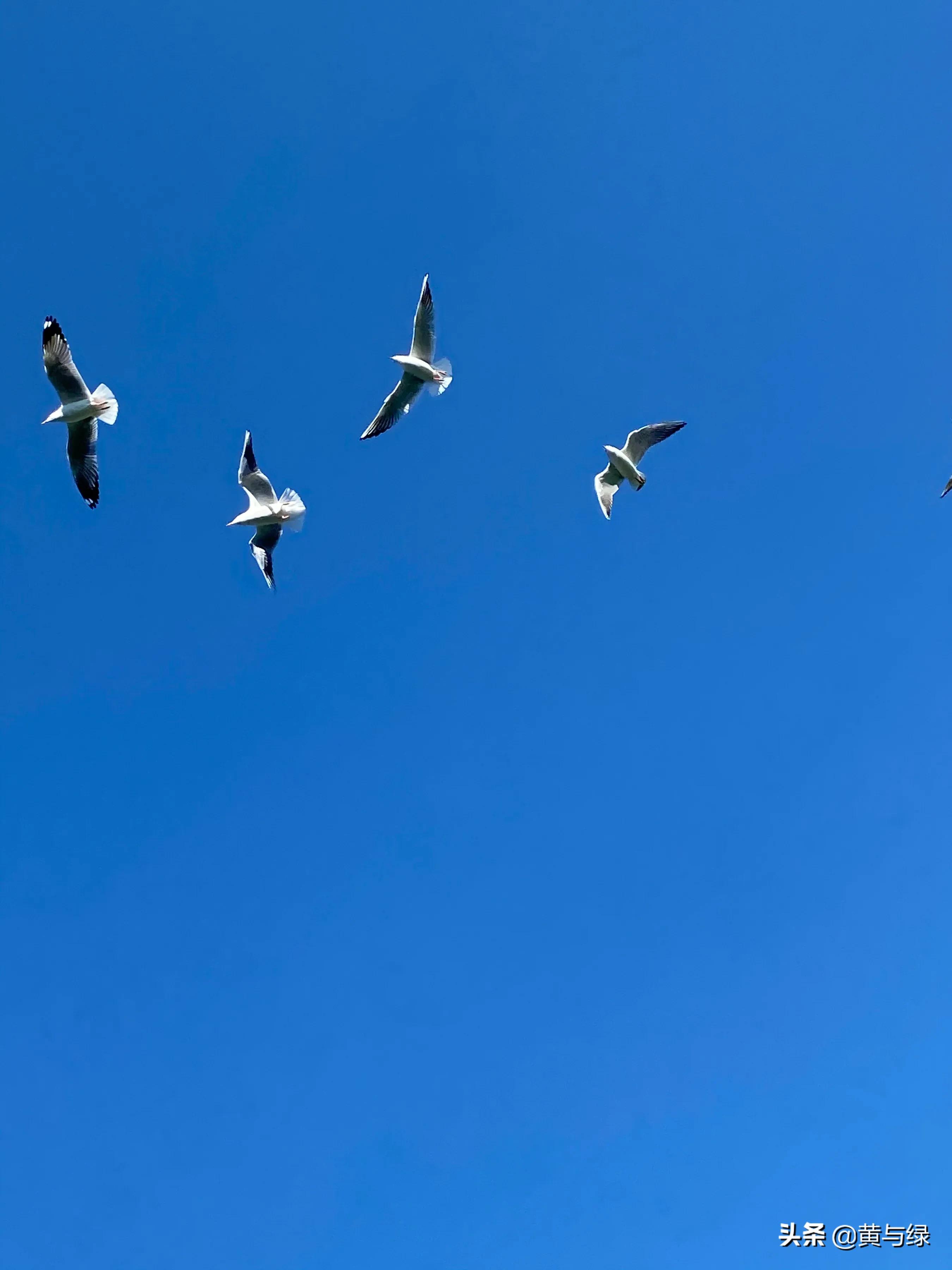 旅行:纯玩云南?先看看这个体验再决定