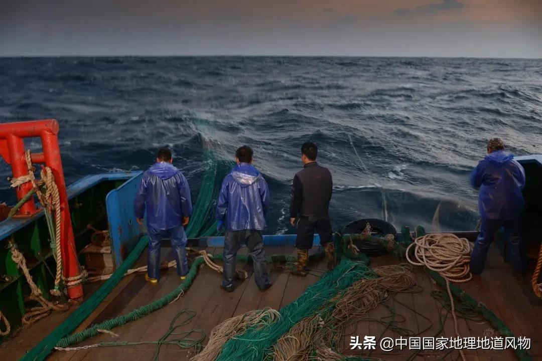 中国吃掉最多的食物,哪个产地的带鱼最好吃